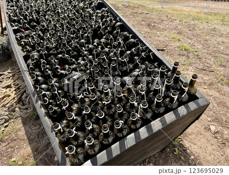 Empty dark wine bottles in close-up at an exhibition and sale of high-quality alcohol. A large number of bottles in the form of silhouettes and shapes in the design with garters and bows 123695029