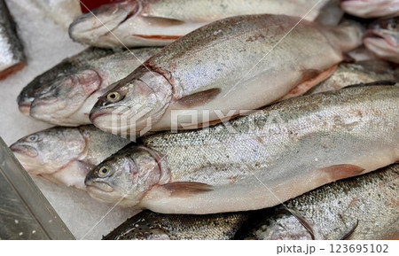 Raw steaks of rainbow trout chilled on shallow ice at the seafood market. An open shelf at the fish market Raw steaks of rainbow trout chilled on shallow ice at the seafood market. An open shelf at the fish market 123695102