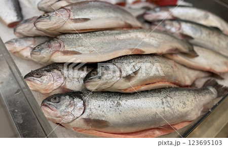 Raw steaks of rainbow trout chilled on shallow ice at the seafood market. An open shelf at the fish market Raw steaks of rainbow trout chilled on shallow ice at the seafood market. An open shelf at the fish market 123695103
