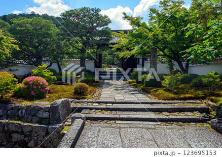 新緑に包まれた圓光寺 新緑に包まれた圓光寺 123695153