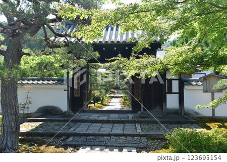 新緑に包まれた圓光寺 正門 新緑に包まれた圓光寺 正門 123695154
