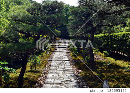 緑に囲まれた圓光寺 123695155