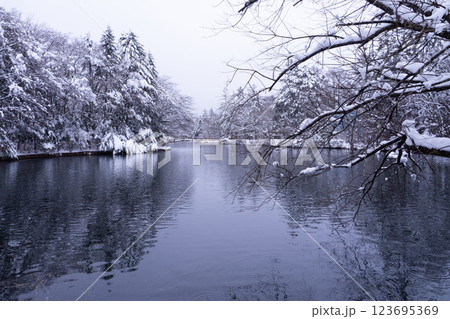 冬の軽井沢　雪化粧の雲場池 123695369
