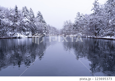 冬の軽井沢　雪化粧の雲場池 123695373