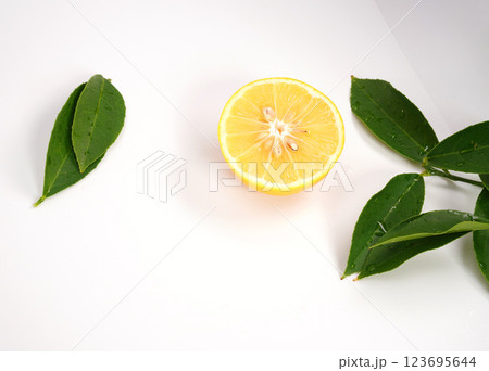 Organic lemon fruit cut in half isolated on white background. 123695644