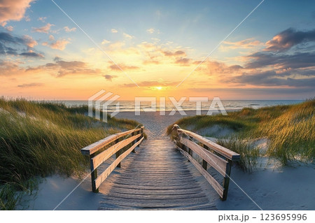 Panoramic view of dunes along the North Sea 123695996