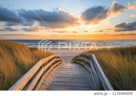 Panoramic view of dunes along the North Sea Panoramic view of dunes along the North Sea 123696000