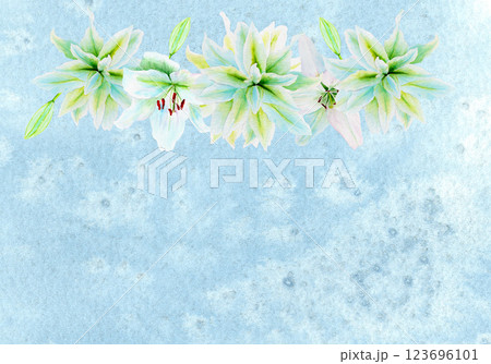 White lily flower garland watercolor illustration on light blue. High quality clip art perfect for cards, posters, stickers, Easter, Passover, Holy Thursday, christening baptism wedding church decor 123696101
