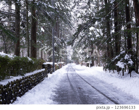 冬の軽井沢　雪景色の万平通り 123696133