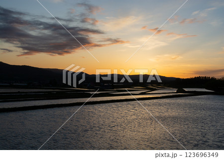 夕陽を反射する春の水田 123696349