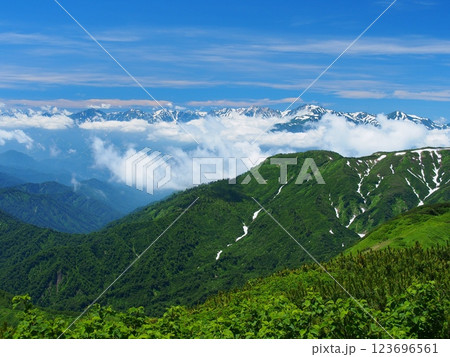 火打山から望む夏の北アルプス 123696561