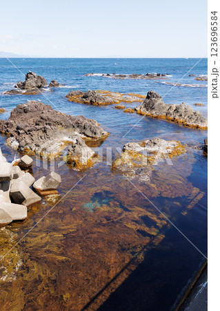 龍飛岬の透明度の高い海（青森県） 123696584