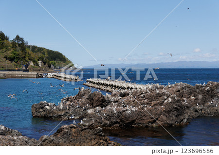 龍飛岬の宇鉄漁港（青森県） 123696586