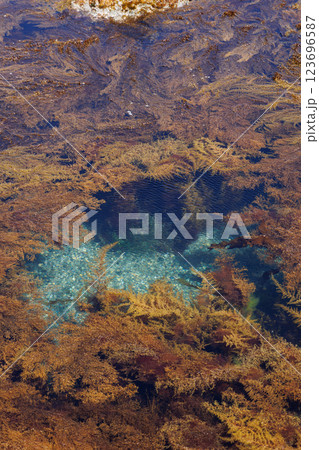 龍飛岬の透明度の高い海(青森県) 龍飛岬の透明度の高い海(青森県) 123696587