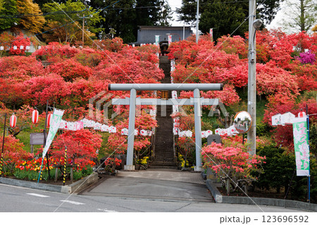 天王神社のつつじ(青森県七戸町) 天王神社のつつじ(青森県七戸町) 123696592