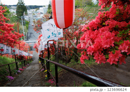 七戸町天王神社のつつじ（七戸町） 123696624