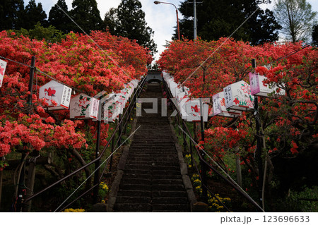 七戸町の山つつじ（天王神社） 123696633