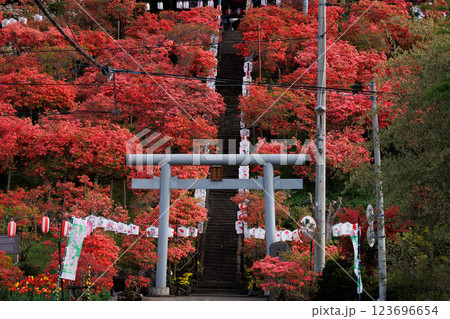 天王神社のつつじ(青森県七戸町)縦構図 天王神社のつつじ(青森県七戸町)縦構図 123696654