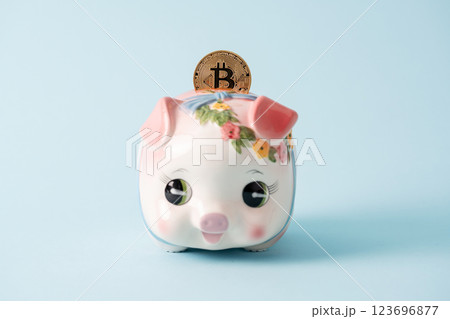 ビットコインと貯金箱 ビットコインと貯金箱 123696877