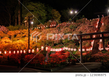 天王神社の山つつじ(青森県七戸町)ライトアップ 天王神社の山つつじ(青森県七戸町)ライトアップ 123696975