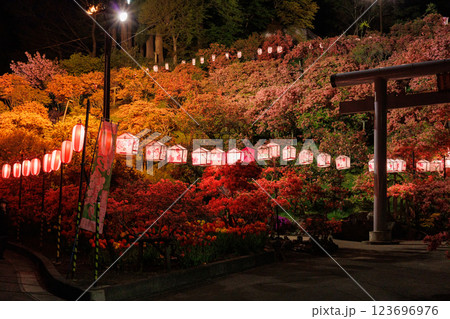 天王神社の山つつじ(青森県七戸町)ライトアップ 天王神社の山つつじ(青森県七戸町)ライトアップ 123696976