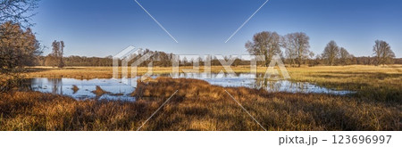 Scenic wetland landscape in Moenchsbruch nature reserve with a reflective pond and autumn vegetation 123696997