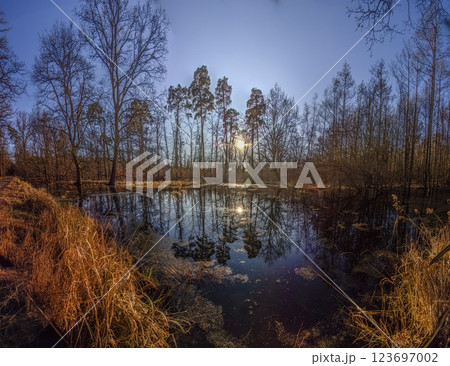 A serene forest pond reflecting the surrounding leafless trees in Moenchsbruch nature reserve A serene forest pond reflecting the surrounding leafless trees in Moenchsbruch nature reserve 123697002