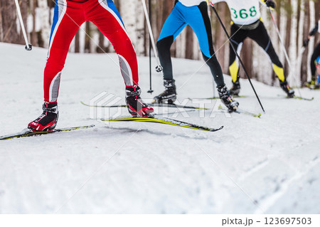 legs group skiers uphill in cross-country skiing race legs group skiers uphill in cross-country skiing race 123697503