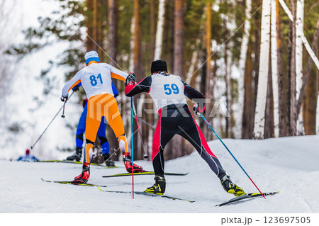 rear view ski athletes uphill in cross-country skiing race rear view ski athletes uphill in cross-country skiing race 123697505
