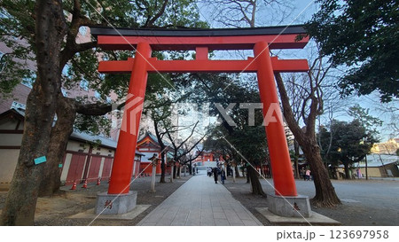 花園神社鳥居 123697958