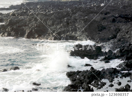 古写真　1979年12月　八丈島　南原千畳岩海岸 123698357