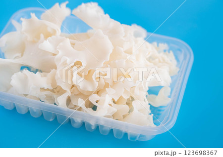 幻のキノコ 花びら茸 幻のキノコ 花びら茸 123698367