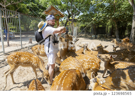 A man hands feeds deer in a park on Orchid Island in Vietnam, Nha Trang. Deer crowd, push, and beg for treats. Close-up, selective focus. A man hands feeds deer in a park on Orchid Island in Vietnam, Nha Trang. Deer crowd, push, and beg for treats. Close-up, selective focus. 123698565