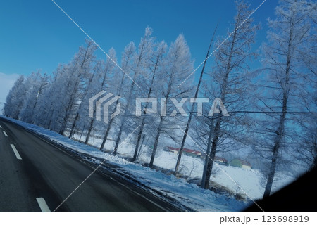 樹氷　十勝 123698919