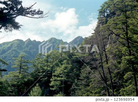 古写真　1981年8月　上高地　ハイキングコースから望む山々 123698954