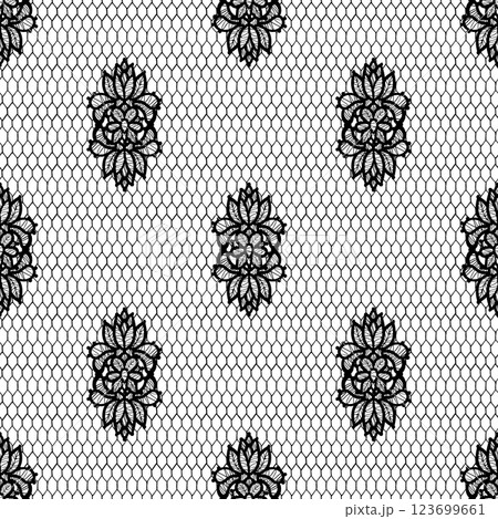 Black lace seamless pattern is perfect for stunningly elegant designs and beautiful backgrounds. Floral sheer fabric. Abstract flowers 123699661