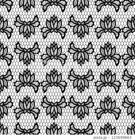 Black lace seamless pattern is perfect for stunningly elegant designs and beautiful backgrounds. Floral sheer fabric. Abstract flowers 123699663