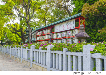 大鳥大社　奉納された酒樽とツツジの花　新緑の季節（大阪府堺市西区鳳北町） 123699746