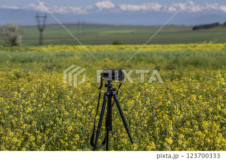 Camera on tripod capturing stunning mountain landscape across a vibrant yellow wildflower field 123700333