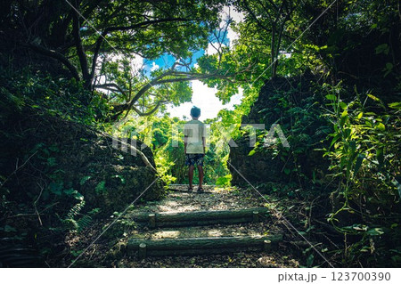 ホロホローの森 123700390