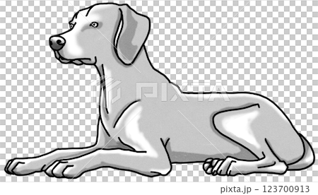 魏瑪獵犬,黑白,透明背景,狗狗插圖 魏瑪獵犬,黑白,透明背景,狗狗插圖 123700913