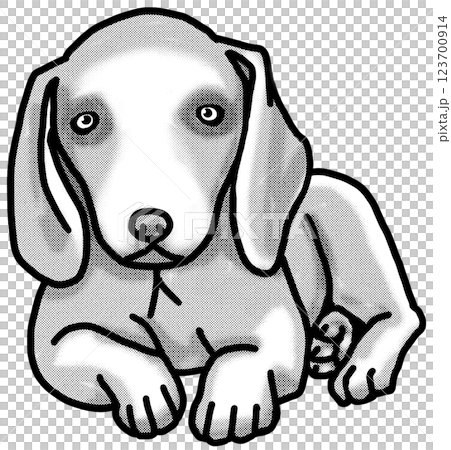 魏瑪犬小狗黑白透明背景狗狗插圖 魏瑪犬小狗黑白透明背景狗狗插圖 123700914