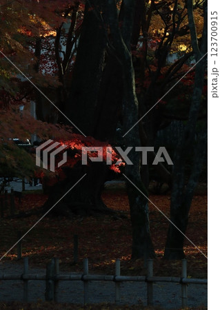 （兼六園）010 123700915