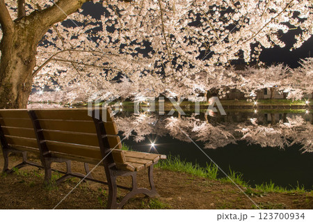 桜並木のベンチ 123700934