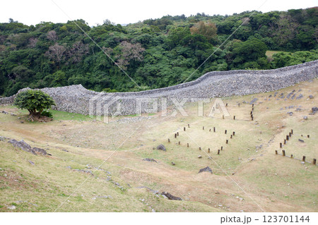 沖縄県 今帰仁城跡・志慶真門郭 沖縄県 今帰仁城跡・志慶真門郭 123701144