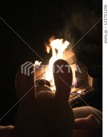 焚火とウサギ 123701206