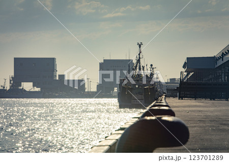 夕陽に照らされる底引き船 夕陽に照らされる底引き船 123701289