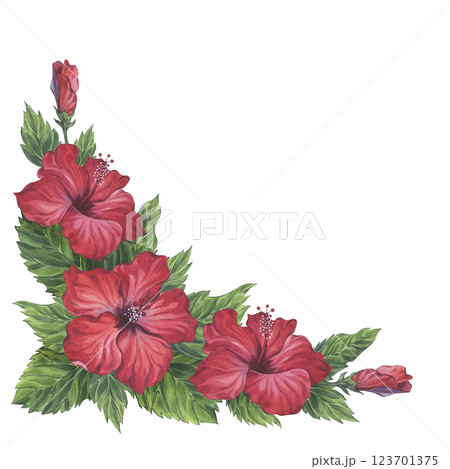 Composition with red hibiscus flowers, buds, and lush green leaves. Hand-painted watercolor botanical illustration. Ideal for greeting cards, tropical-themed designs, and fabric prints Composition with red hibiscus flowers, buds, and lush green leaves. Hand-painted watercolor botanical illustration. Ideal for greeting cards, tropical-themed designs, and fabric prints 123701375
