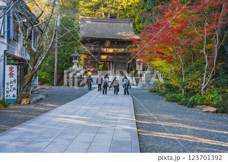 袋井市にある法多山尊永寺の参道と紅葉の風景(静岡県) 123701392