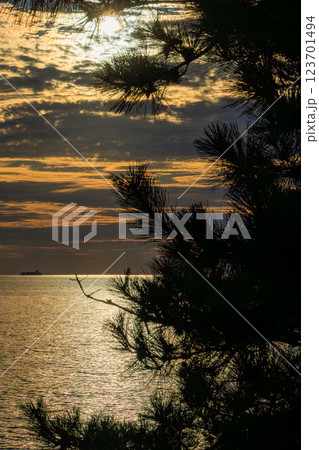 夏の猪苗代湖の夕焼けと松の木のシルエット 123701494